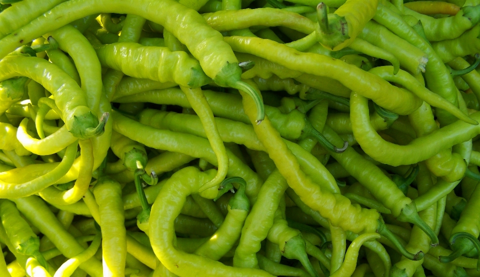 植物 水果 食物 胡椒