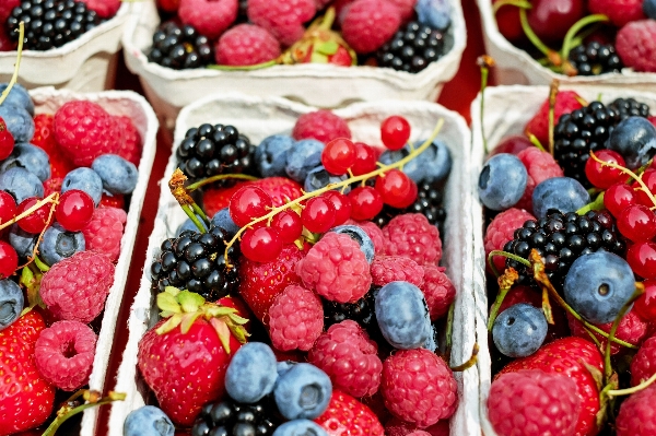 Foto Plantar fruta baga refeição