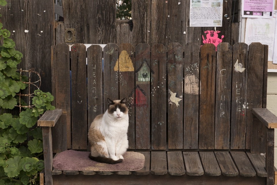 Panca dolce animale carino