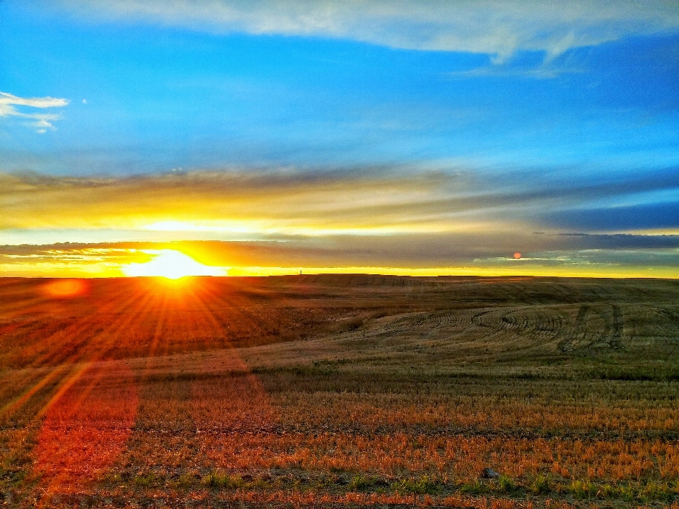 Paysage nature herbe horizon