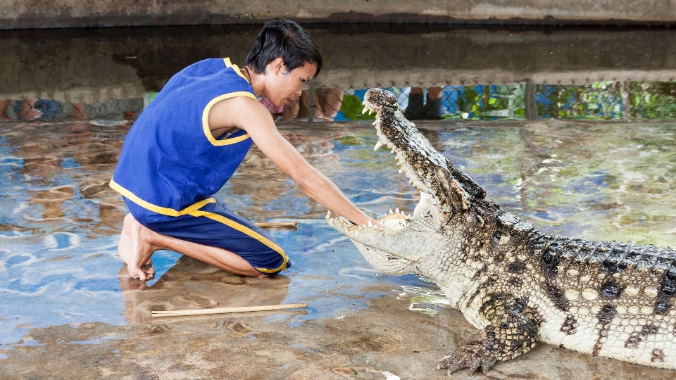 Pria menunjukkan biologi predator