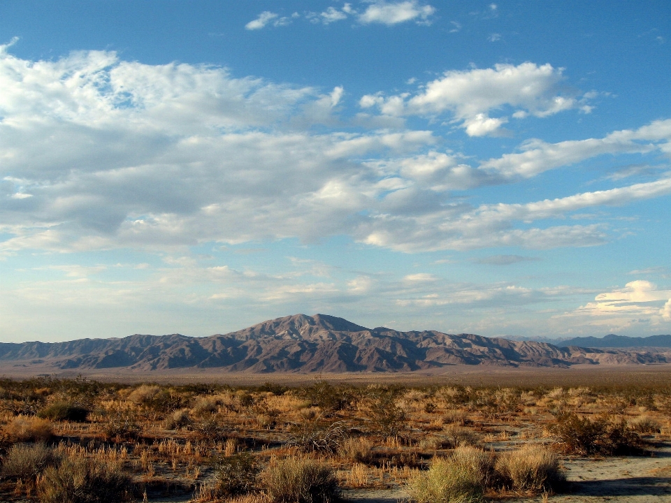 Man landscape nature outdoor