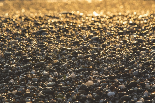 Beach sea coast water Photo