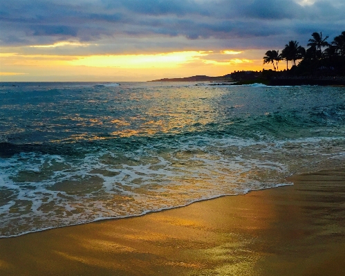 Beach sea coast water Photo