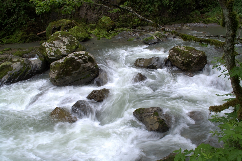 Water nature forest rock