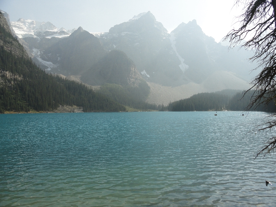 景观 水 自然 山