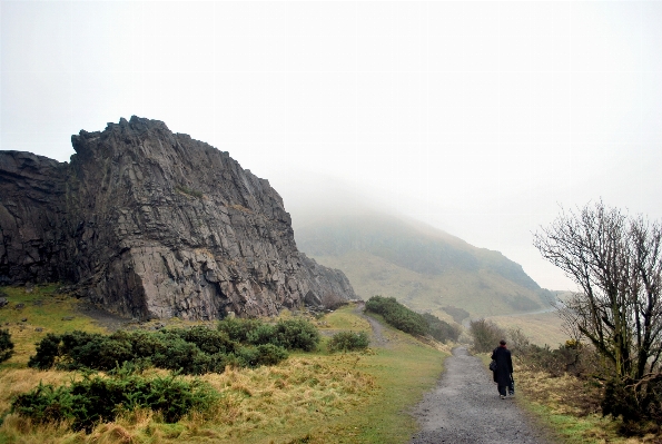 Landscape nature path pathway Photo