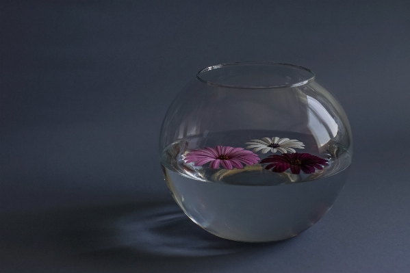 Water glass cup vase Photo