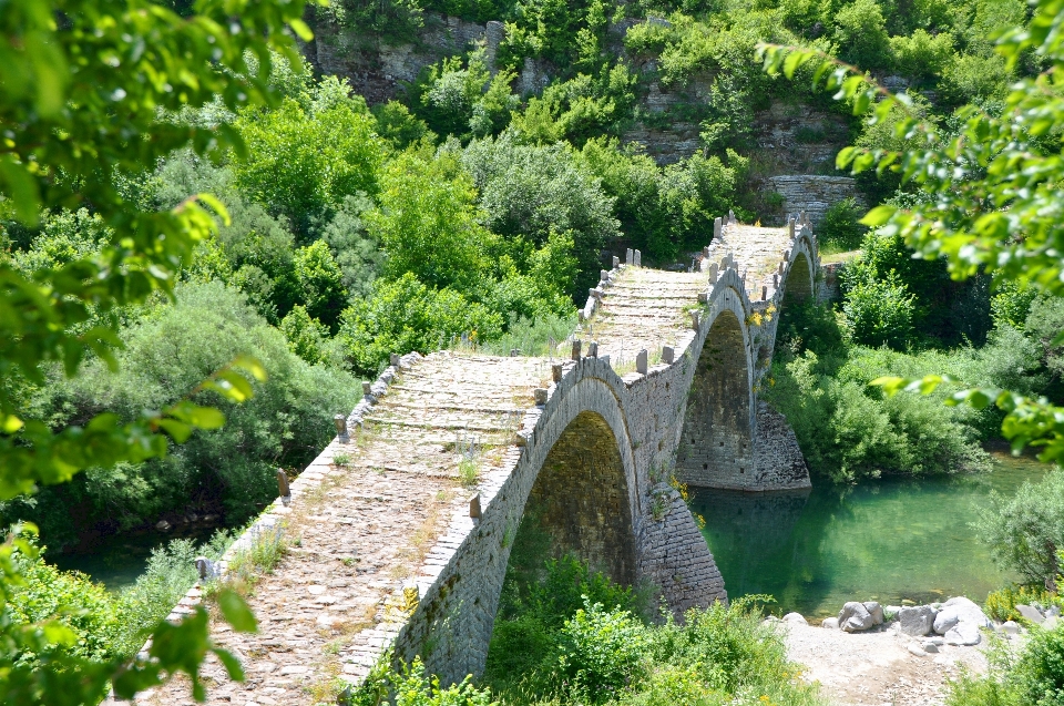 Brücke blume stream garten