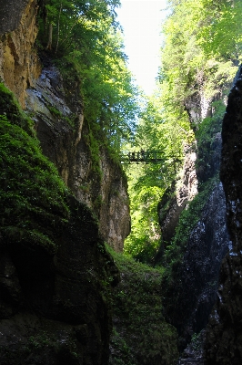 Tree rock waterfall bridge Photo