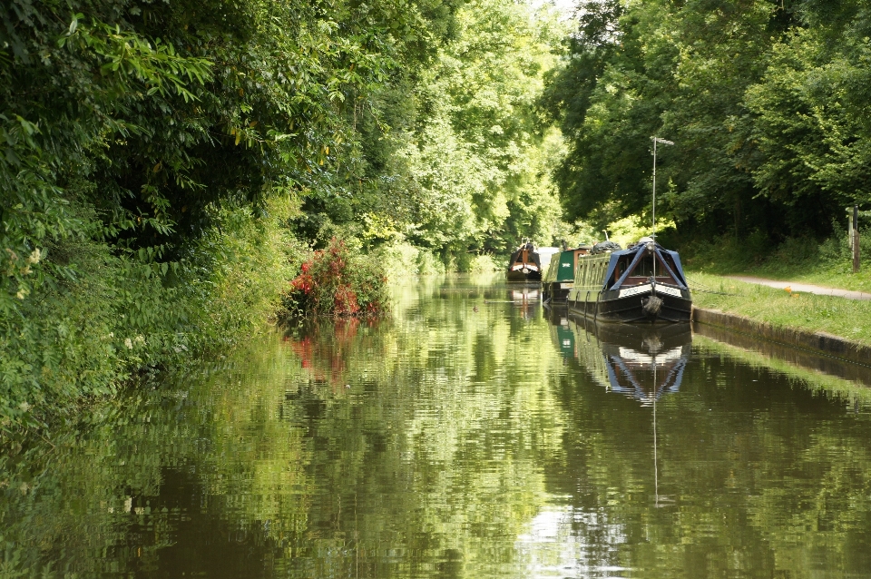 Water river canal pond