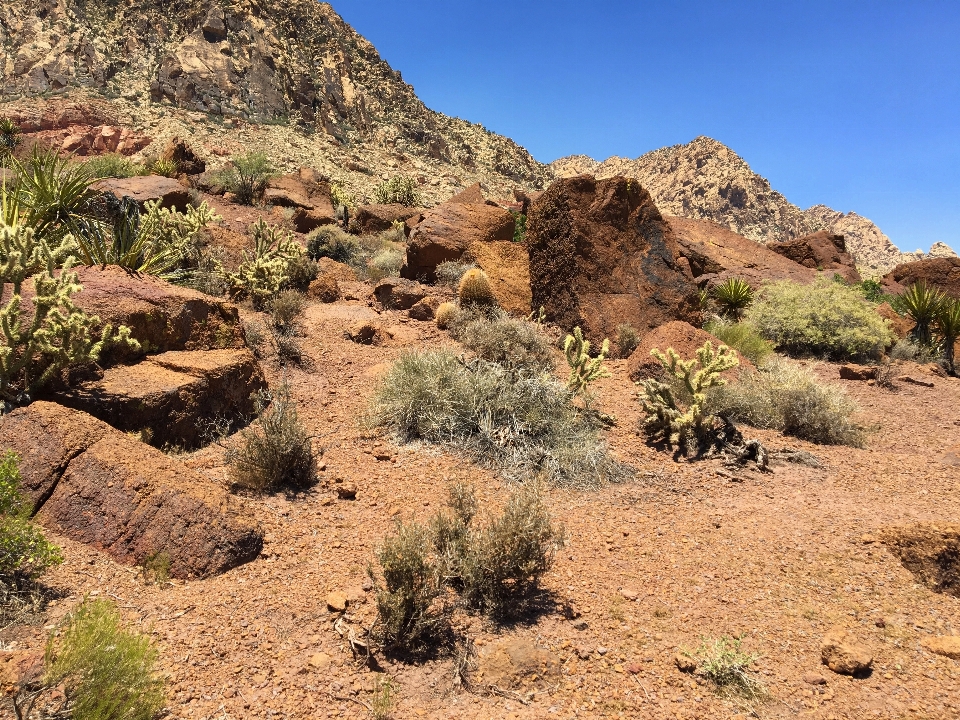 風景 自然 砂 rock