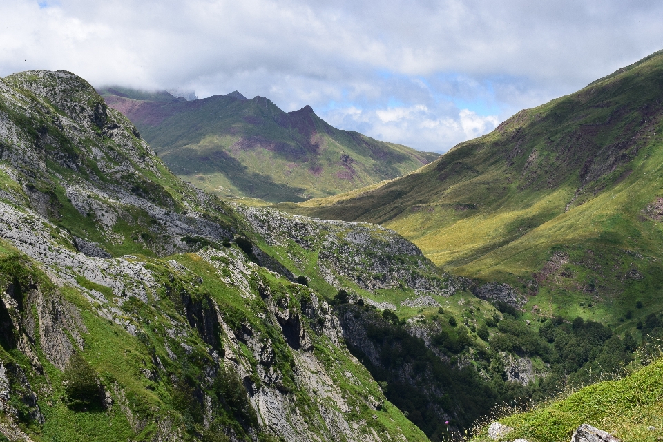 Landschaft natur wildnis
 gehen