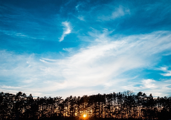 Landscape tree nature outdoor Photo