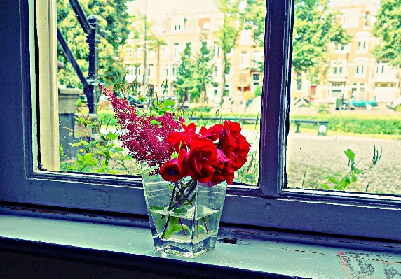 Plant flower window bouquet Photo