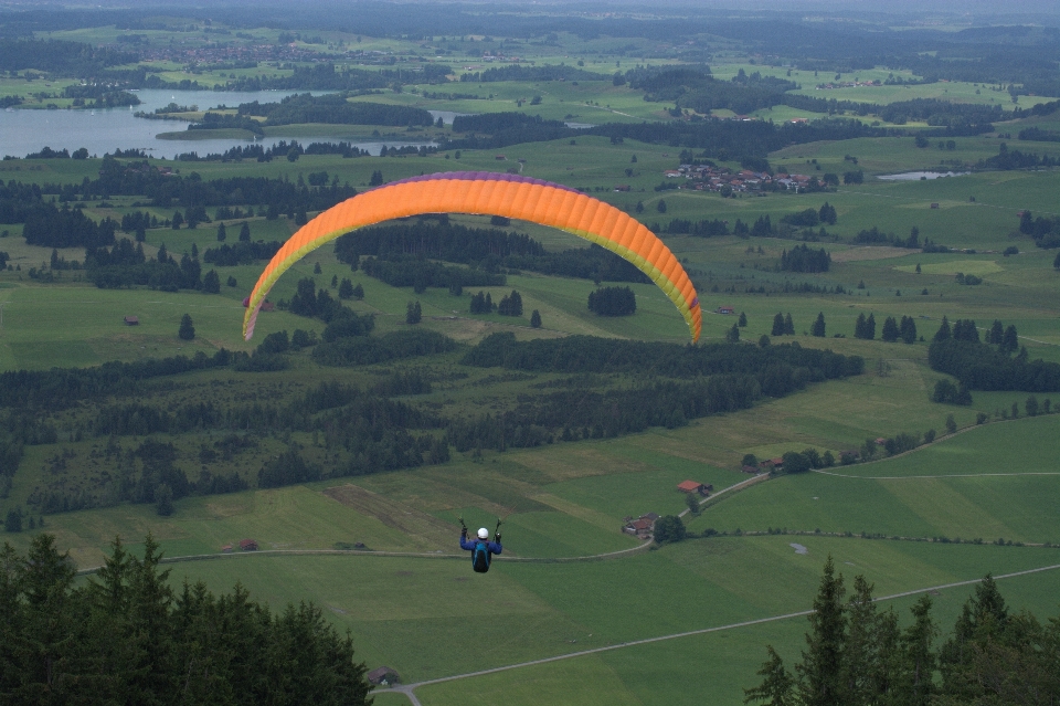 Ciel champ voler haut