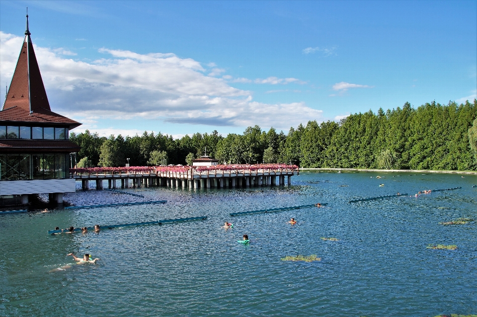 Lake swimming pool bay leisure