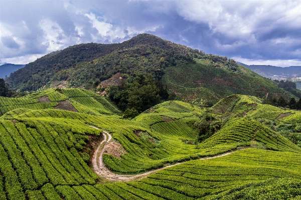 Landscape nature mountain field Photo