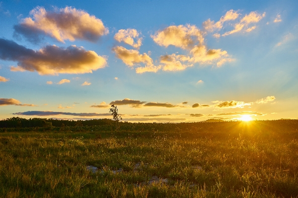 Foto Paisagem natureza grama horizonte