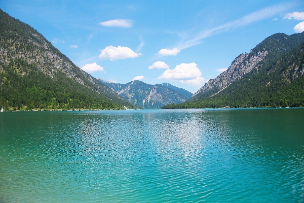 風景 水 自然 森 写真