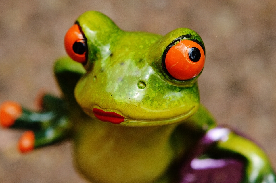 Doux mignon vert grenouille