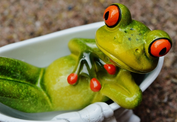 Foto Manis imut-imut piring makanan