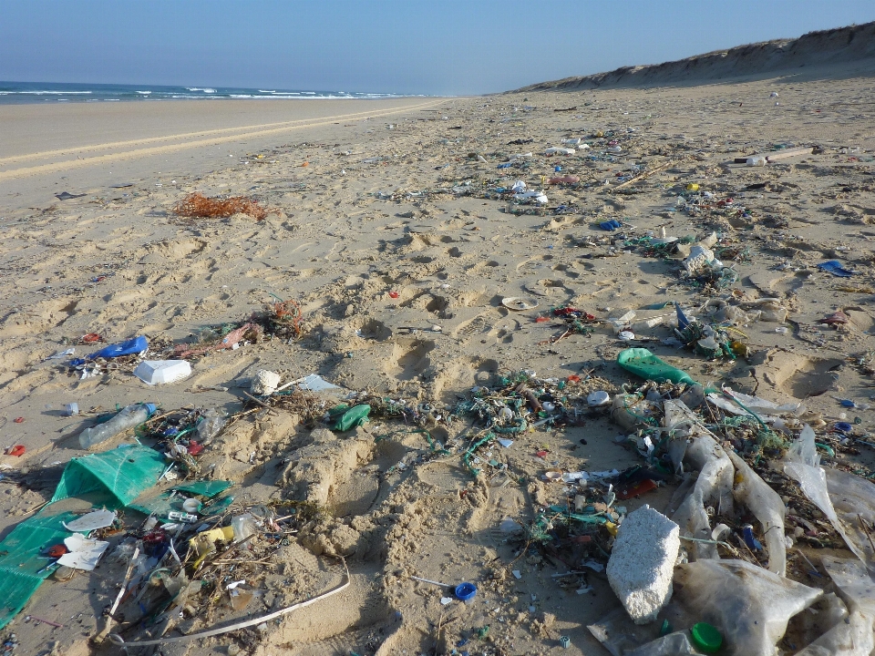 Beach sea coast waste