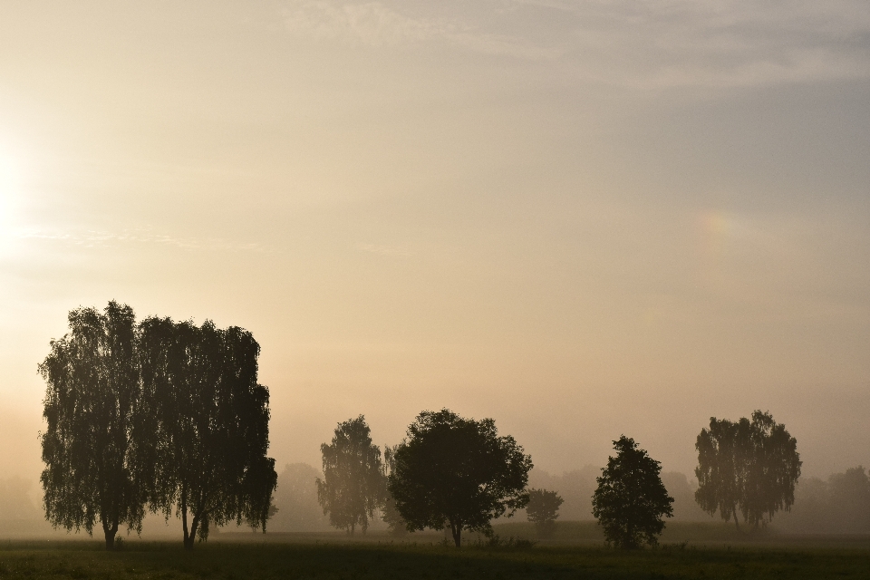 Landschaft baum natur horizont