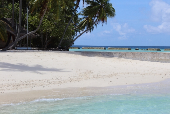 Foto Pantai laut pesisir pasir