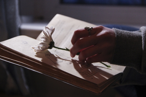 Writing hand nature book Photo