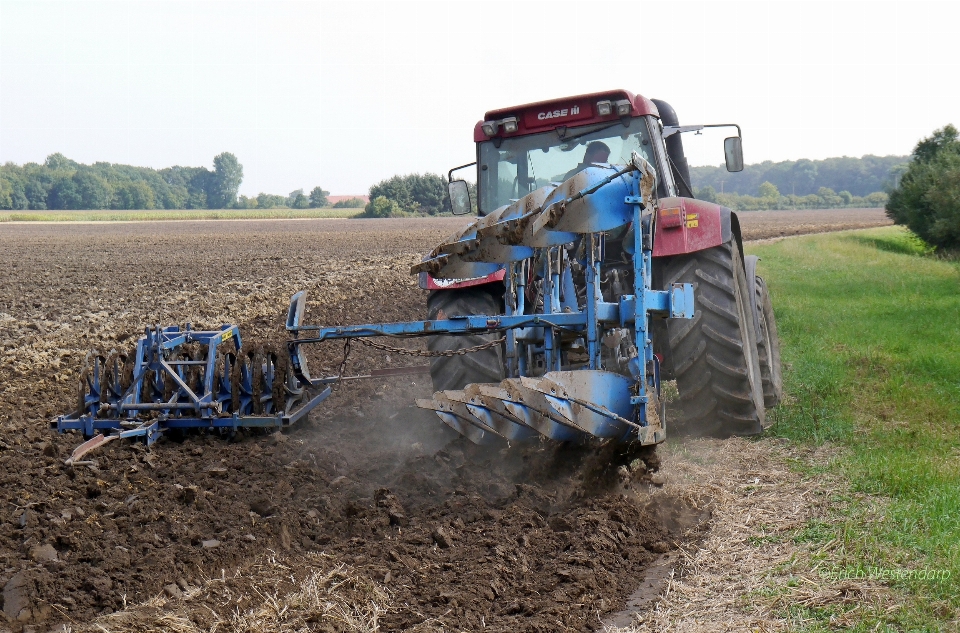 Tracteur champ cultiver véhicule