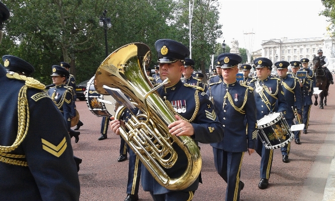 Person band musician profession Photo