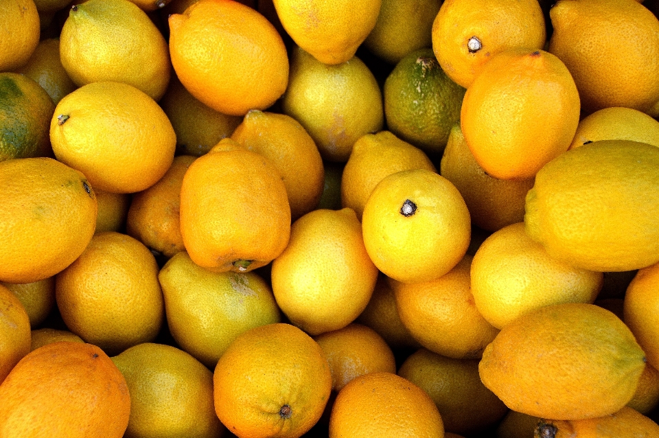 Planta fruta naranja alimento