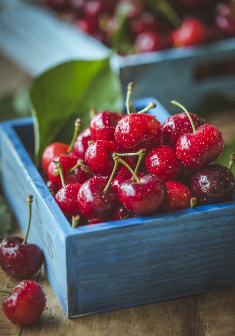 Plantar framboesa fruta baga