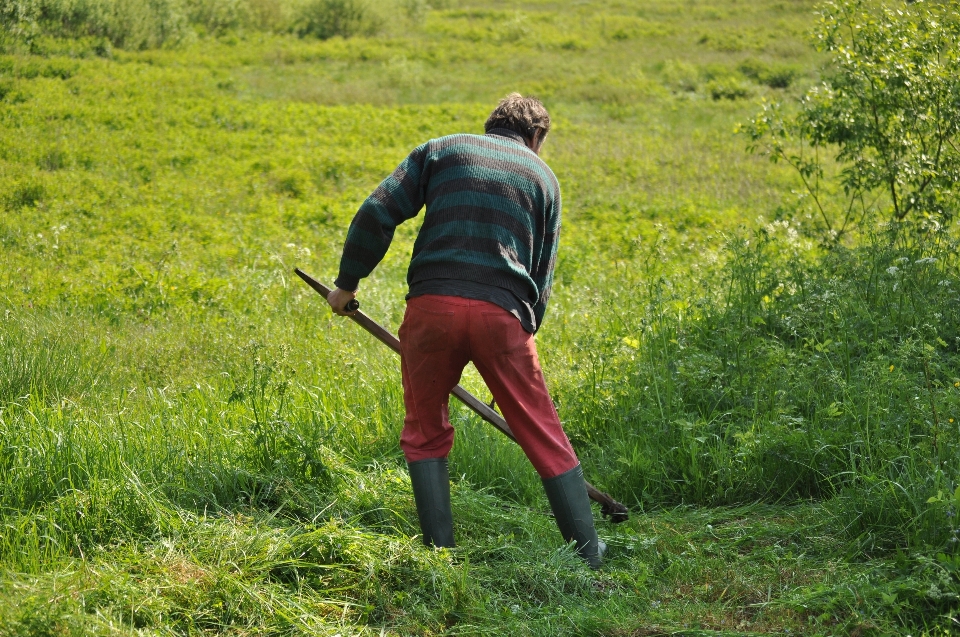 Homem natureza grama ar livre