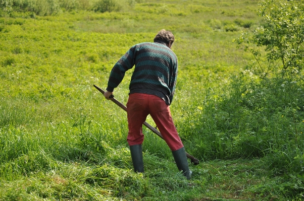 Man nature grass outdoor Photo