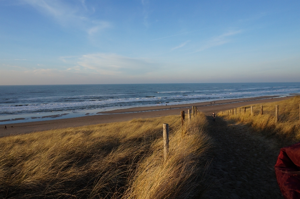 Plaża krajobraz morze wybrzeże