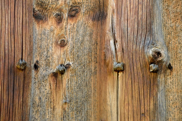 Nature structure wood grain Photo