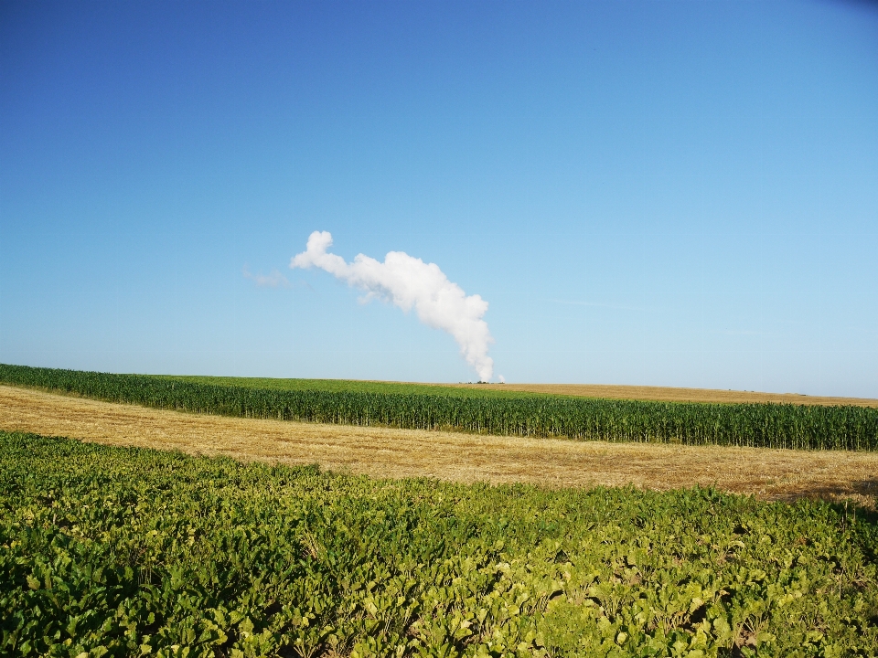 Landschaft natur gras horizont