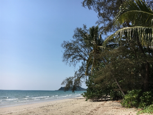 Beach landscape sea coast Photo