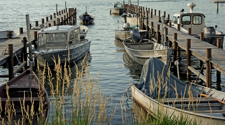 Dock boardwalk boat lake Photo