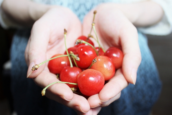 Hand people plant fruit Photo