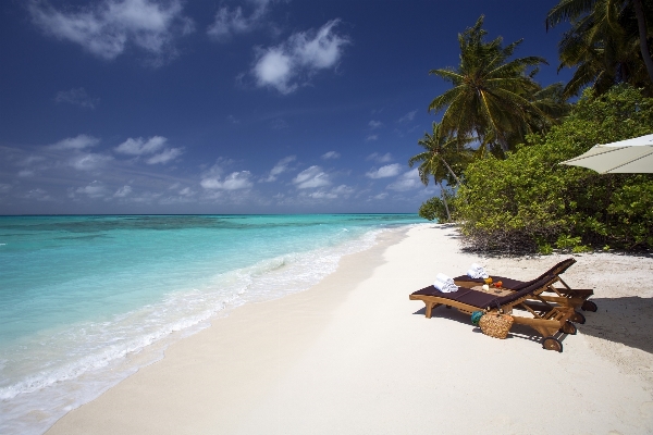 Beach sea coast sand Photo