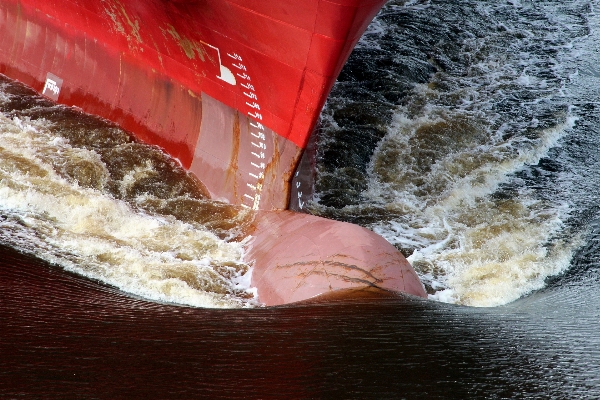 Photo Mer eau bateau bogue