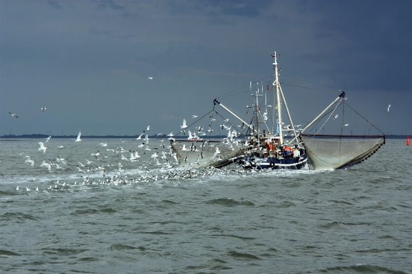 Sea coast water ocean Photo