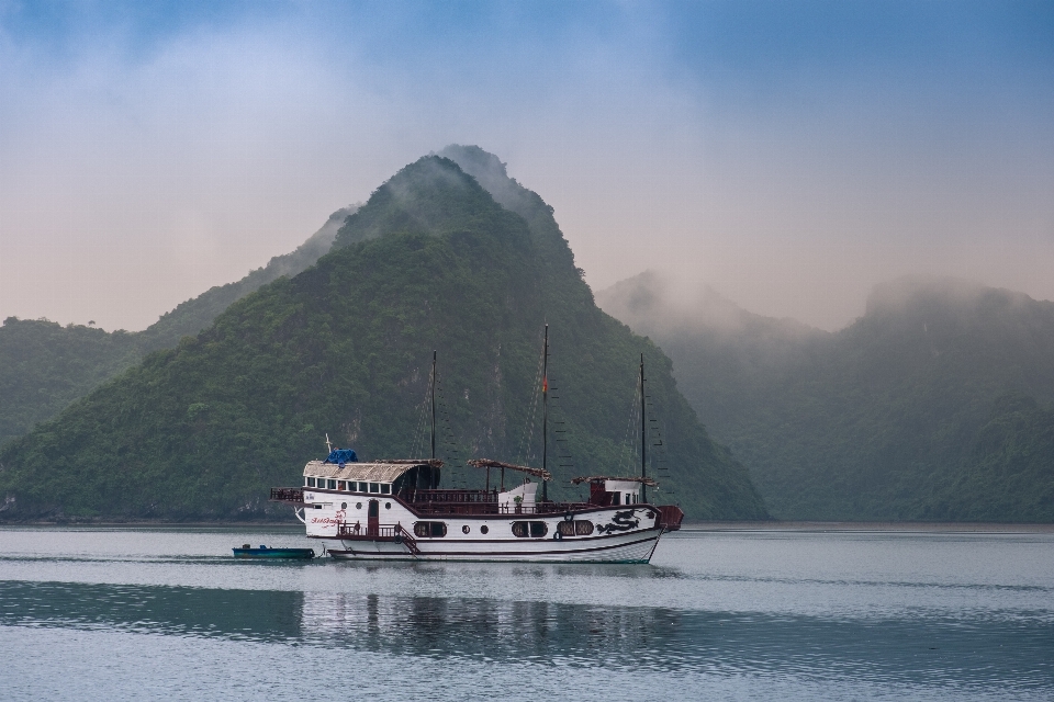 Sea coast mountain fog