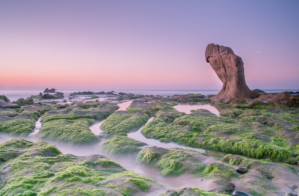 Beach landscape sea coast