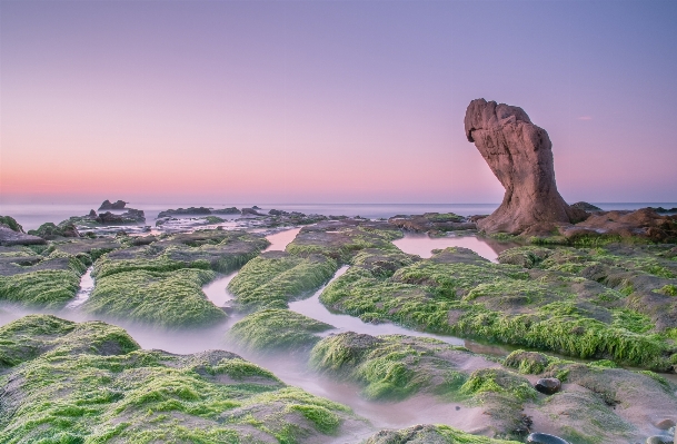 Beach landscape sea coast Photo