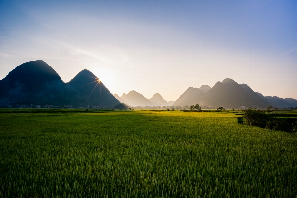 Landscape nature grass horizon Photo