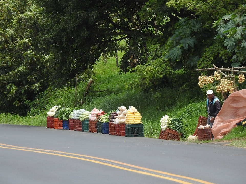 Nature route champ fruit